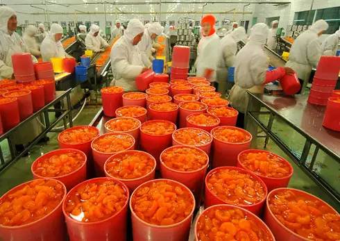 農(nóng)業(yè)的五座“金礦” 抓住初級農(nóng)產(chǎn)品機(jī)遇，實(shí)現(xiàn)創(chuàng)富增收