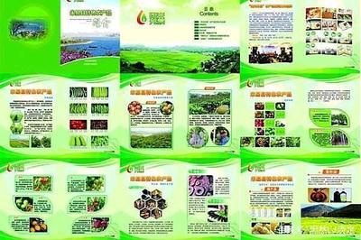 初級農(nóng)產(chǎn)品的定義、類別范圍及其與其他相關(guān)概念的區(qū)別