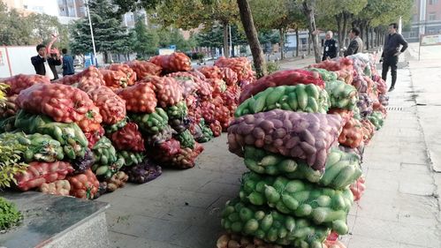 小蘿卜，大愛心 阜南教育助力濛洼地區貧困戶農產品銷售