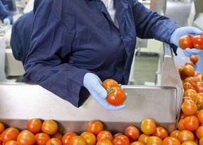 從源頭到餐桌 提升家禽家畜農(nóng)副食品加工業(yè)競爭力的策略